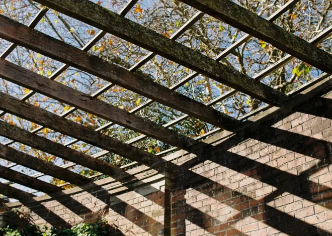 Pergola Care and Upgrades — The Complete Guide